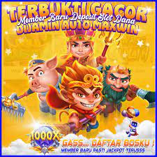 Cara Baca Pola Slot Menang Terus